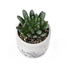 Load image into Gallery viewer, ARTIFICIAL SUCCULENT
